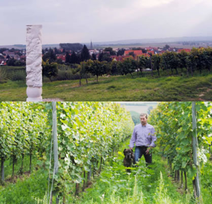 Weingut Kraichgauer
